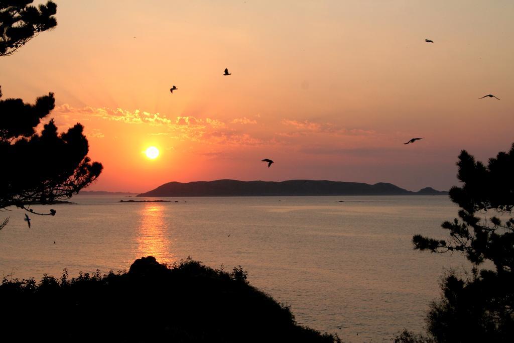 Les Terrasses De La Plage De Trestel Trevou-Treguignec ภายนอก รูปภาพ